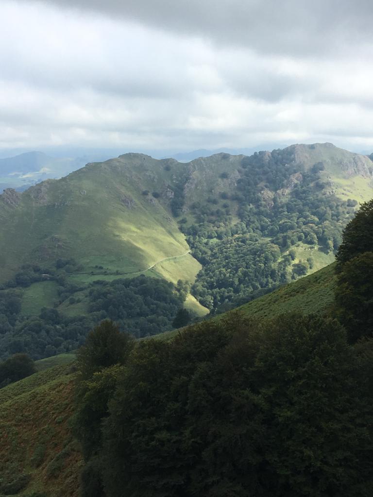 a5ee1d8a-f020-4825-9ecc-b4f842164724